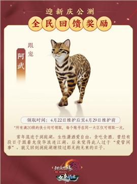 天龙八部私服傲世
